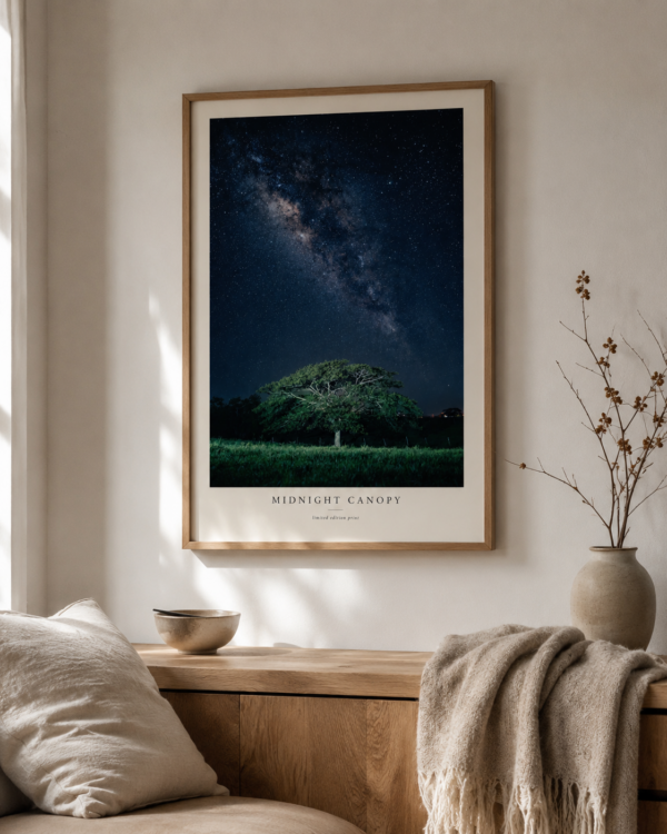 Midnight Canopy – noční plakát se stromem a hvězdami ke stažení